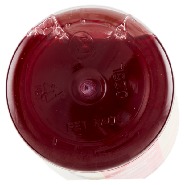 Podere Cittadella Kefir d'Acqua Infuso Energy Guaranà e Ibiscus 250 ml