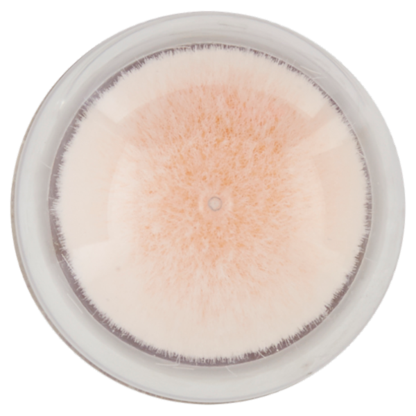 Maybelline New York Correttore Liquido Il Cancella Età, 00 Ivory