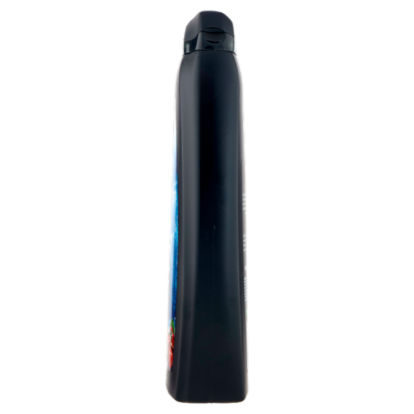 Vidal Energy & Sport Bagnodoccia Energizzante Ginseng e Guaranà 600 ml