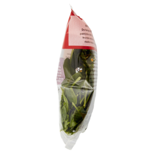 OrtoRomi Spinacino 100 g