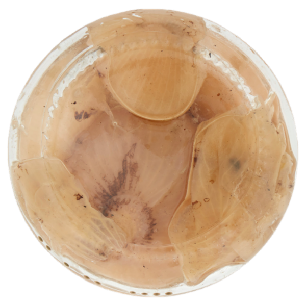 Selex Cipolline Borettane Grigliate in Olio di Semi di Girasole 280 g