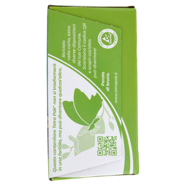 Valfrutta i Triangolini Pera Italiana succo e polpa Brik 12 x 100 ml