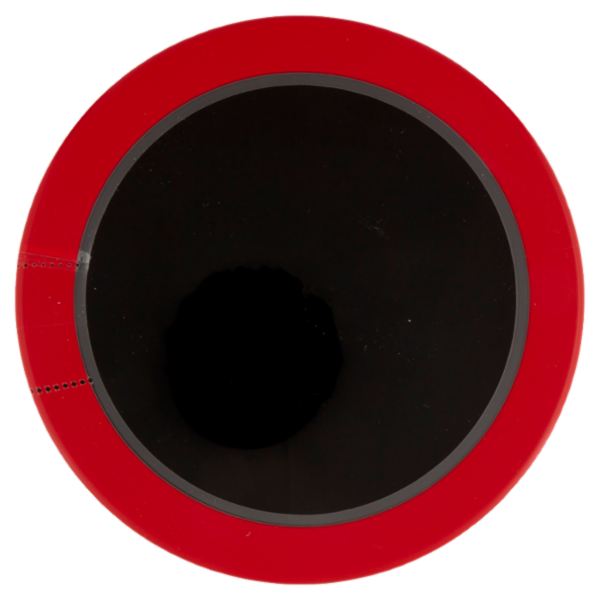 Enervit 100 % Whey Protein Cocoa 420 g