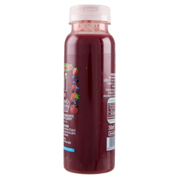 DimmidiSì Frullato fresco Frutti di Bosco 250 ml