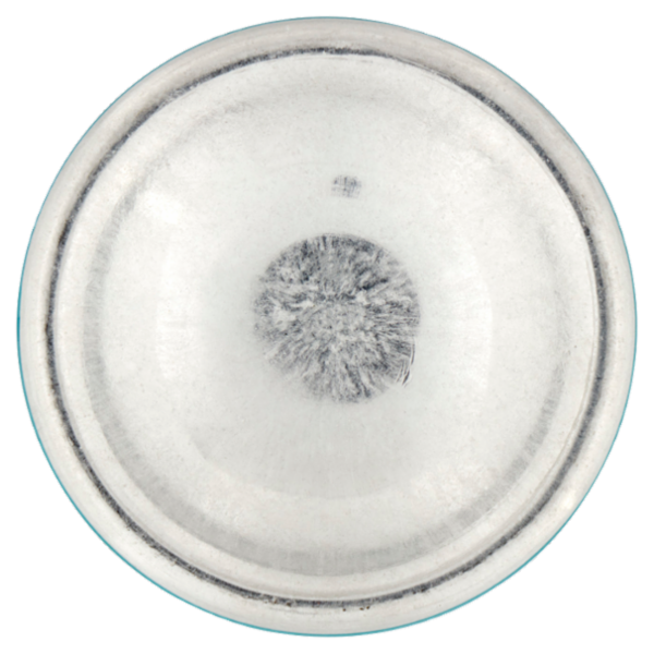 Malizia Giovani Shake It B5 Pro-Vit Shampoo Secco 200 mL