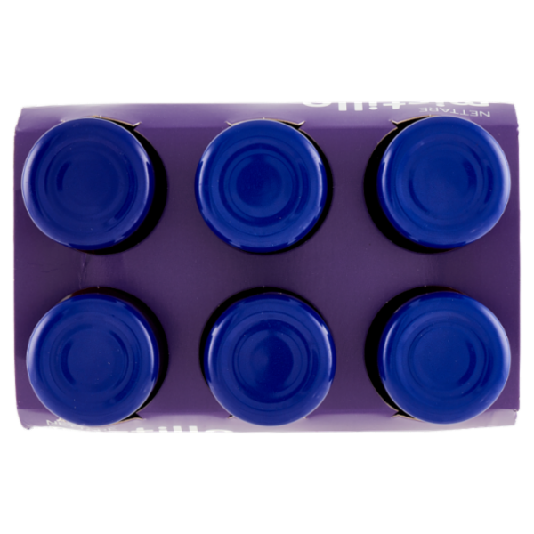 Selex Nettare di Mirtillo 6x125 ml