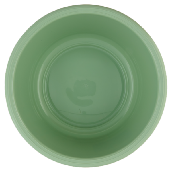 Selex Bacinella Rotonda Verde Cammeo 4 L