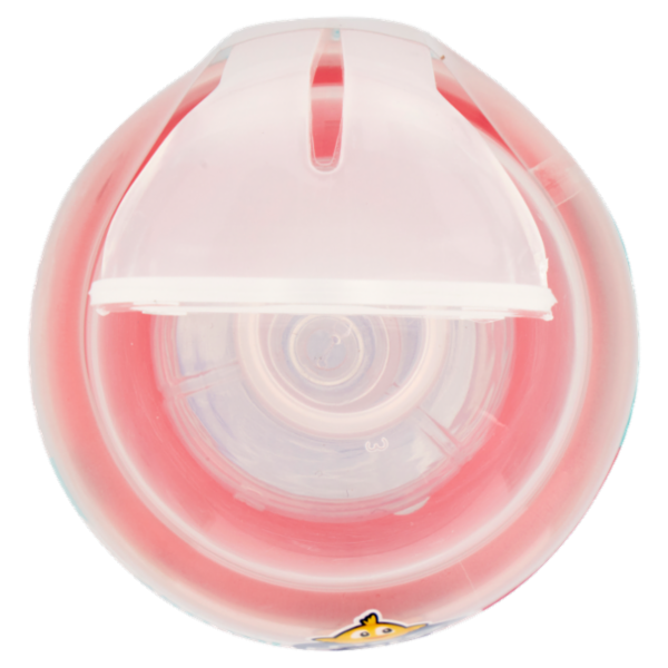 neo Baby Biberon Plastica Collo Largo 250 ml 2m+ Dino Rosa