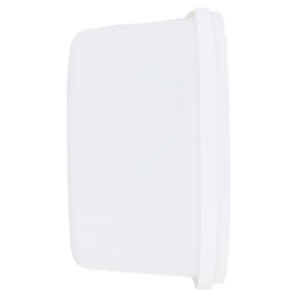 Selex Gelato Fragola e Limone 500 g