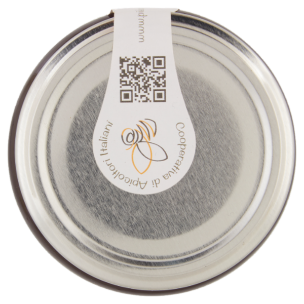 Piemonte Miele Miele Italiano di Melata di Bosco 500 g