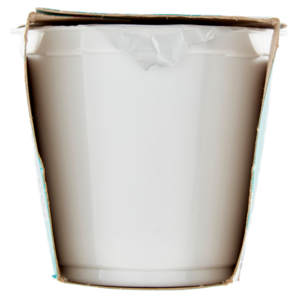 IL GIGANTE Yogurt Magro Caffè 2 x 125 g