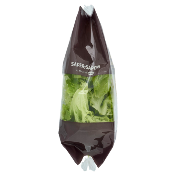 Selex Saper di Sapori Lattughino Biondo Lavato e Pronto per il Consumo 100 g