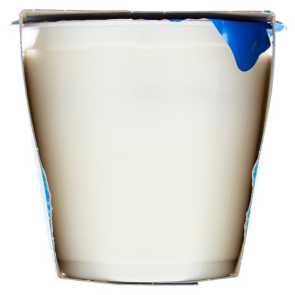 Selex Yogurt Intero Vaniglia 2x125 g