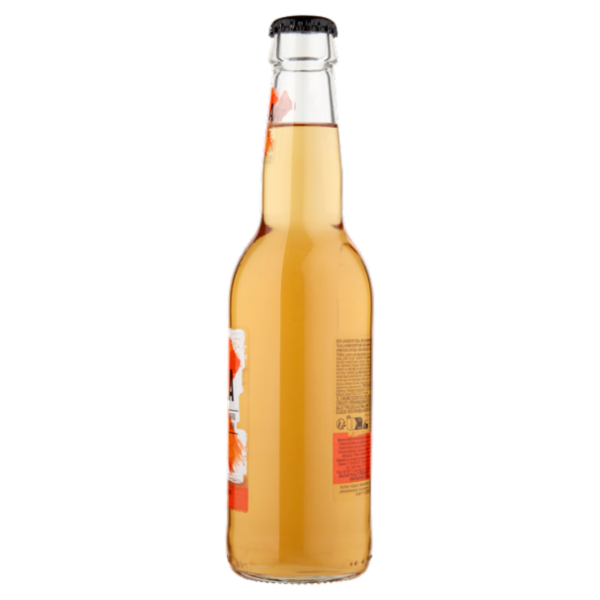 X-Mark Tequila Beer 330 ML