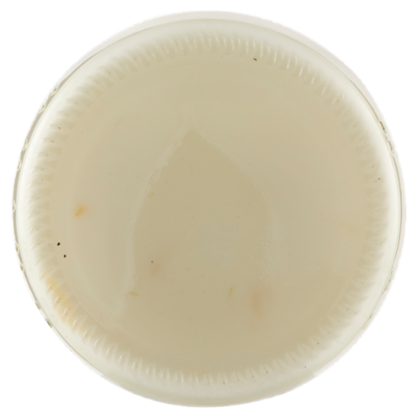 Sterzing Vipiteno bio yogurt da latte fieno arancia 150 g