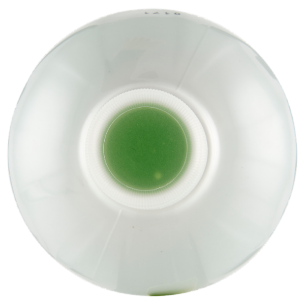 IL GIGANTE Sapone Liquido Ricarica con estratto di aloe vera 1000 ml