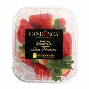 Fragole Vassoio Gr.250