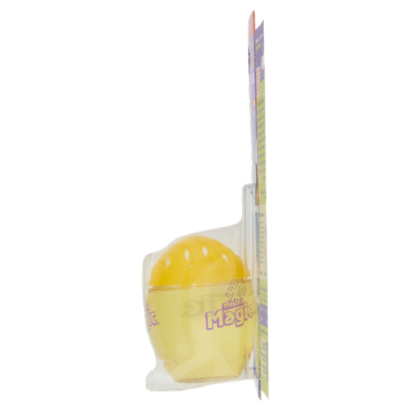 mister Magic l'Assorbiodori Frigo con Estratti di Limone 40 g