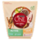 PURINA ONE Mini/Small Active Ricco in Pollo, con Riso 1,5 kg