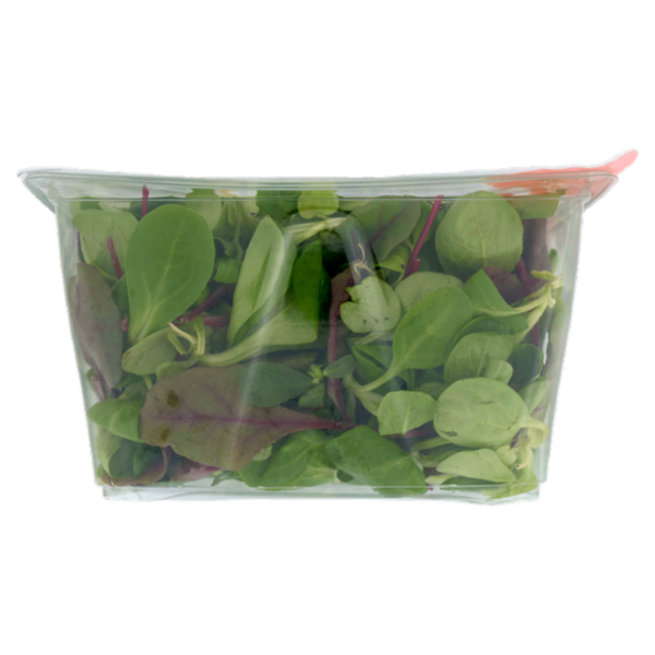 DimmidiSì Smart! La Vaschetta Intelligente Valeriana & Bull's Blood 140 g