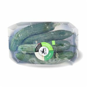 Alcenero Cetriolo Gr 500