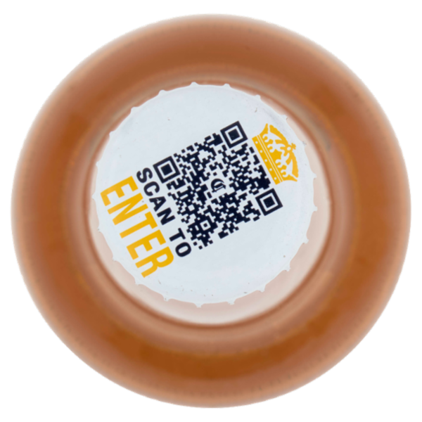 Corona Extra Birra lager messicana bottiglia 50 cl