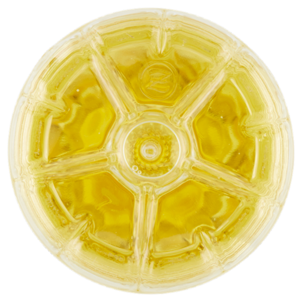 Zeta Olio di Semi Vari 1L