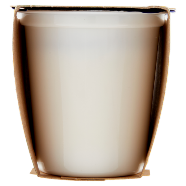 Centrale del latte Vicenza Yogurt Intero Cocco 2 x 125 g