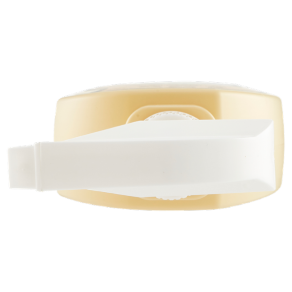 Lavanderina Detergente Bagno Multisuperficie Mentolato Ecobio 650 mL