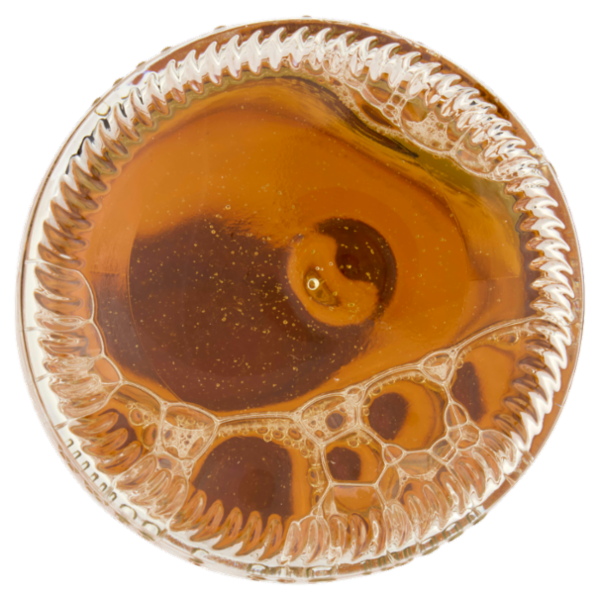 Corona Extra Birra lager messicana bottiglia 50 cl