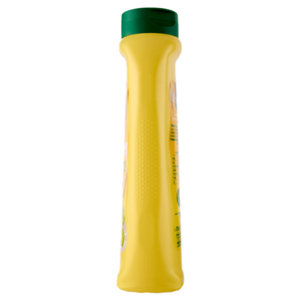 Develey Maionese Classica 875 ml