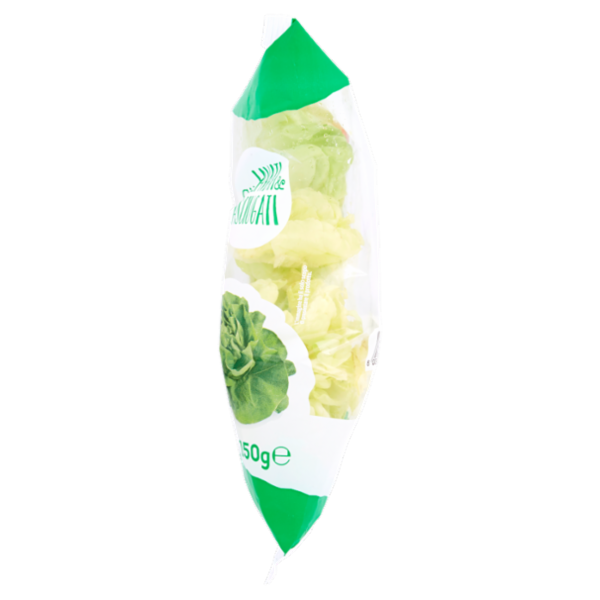 Consilia Saper Scegliere Cuori di Lattuga 150 g