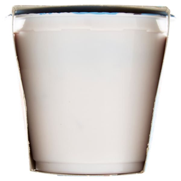 Selex Yogurt Magro Fragola 2x125 g