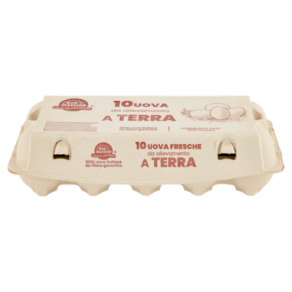 ovo mattino 10 Uova Fresche da allevamento a Terra 500 g