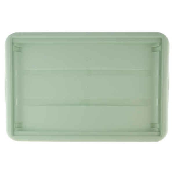 Selex Contenitore con Coperchio a Scatto con Ruote Verde Cammeo 43 L