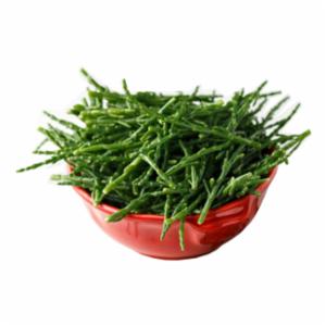Asparagi Di Mare/ Salicornia