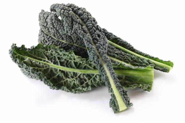 CAVOLO NERO