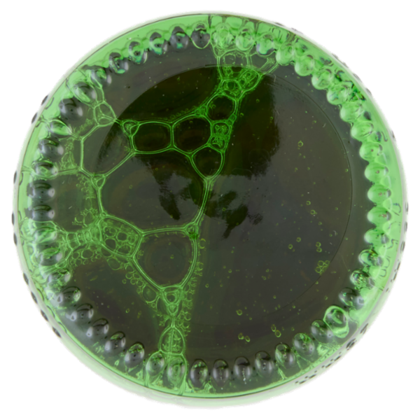 TENNENT'S SUPER Birra strong lager doppio malto bottiglia 35,5cl