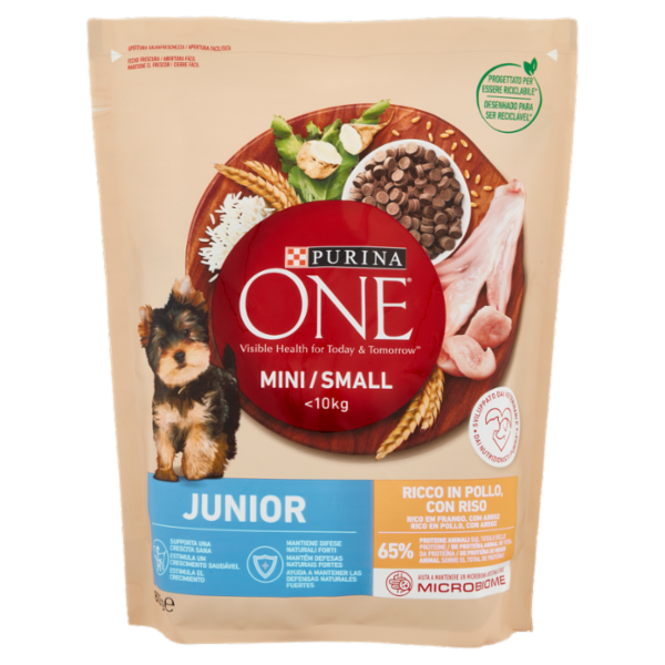 PURINA ONE Mini/Small Junior Ricco in Pollo con Riso 800g