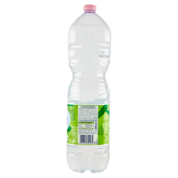 San Benedetto Acqua Naturale Fonte del Pollino Ecogreen 2 L