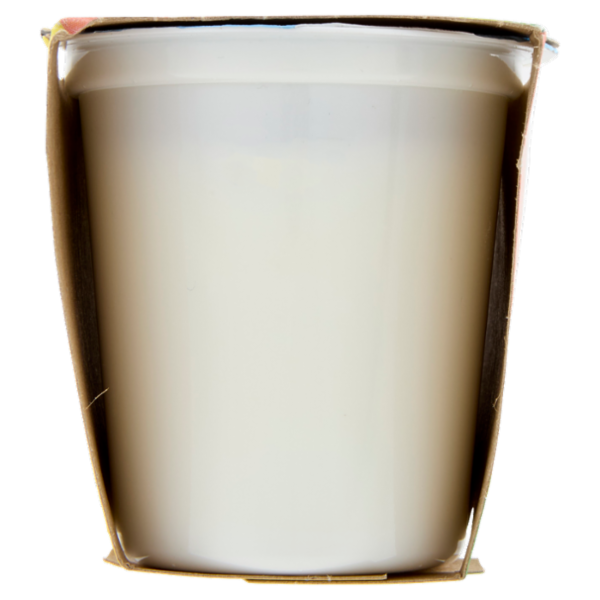 Centrale del latte Vicenza Yogurt Magro Bianco 2 x 125 g