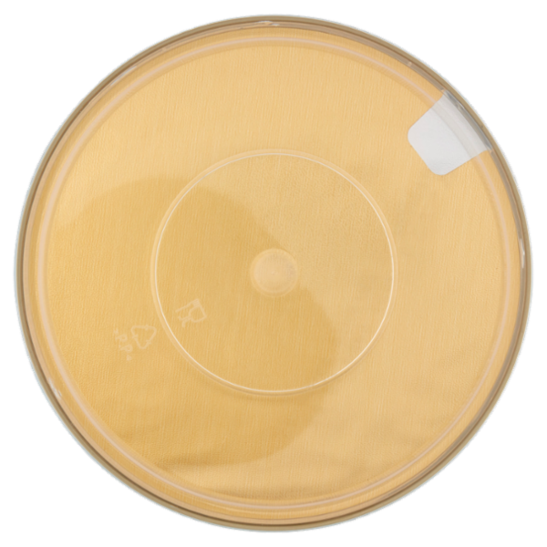 Mare Aperto Tonno Olio di Oliva 800 g