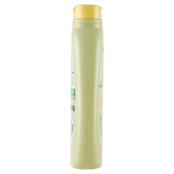 Garnier Ultra Dolce Shampoo purificante Argilla Dolce e Cedro per capelli grassi 300 ml