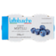 lattebusche yogurt Mirtilli 2 x 125 g
