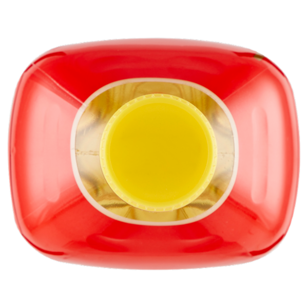 Consilia Olio per Fritto 1 L