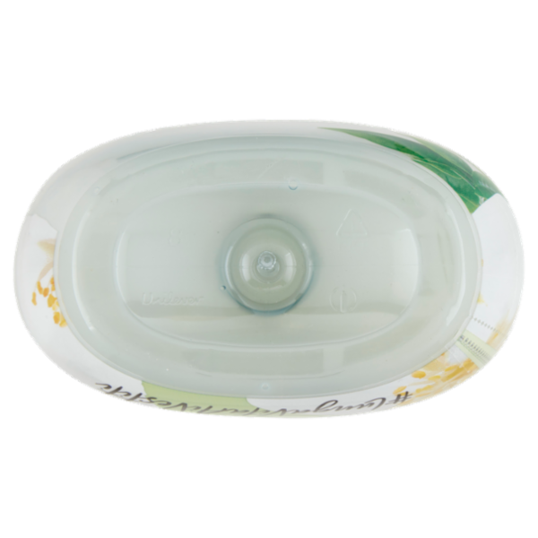 Coccolino Ammorbidente Concentrato Gelsomino 1 L