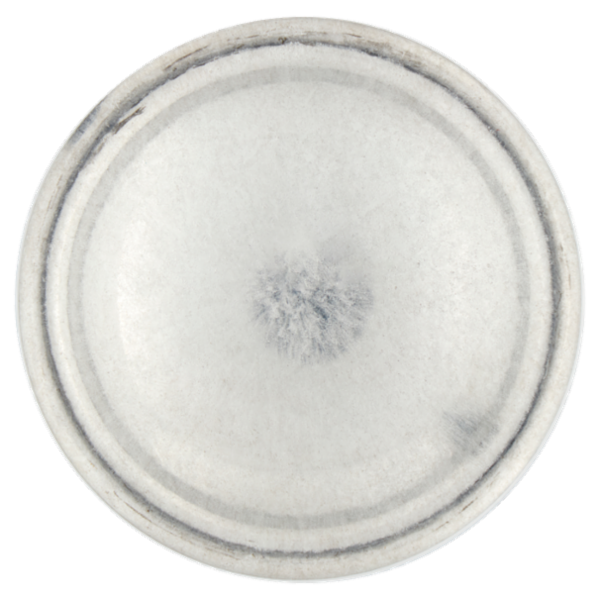 nuncas Profumi Bouquet Smeraldo Menta e Foglie Aromatiche Profumatore per Ambienti 250 ml