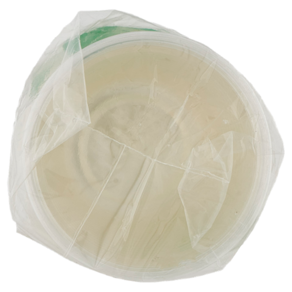 Vanto Bicchieri Trasparenti Compostabili 200 cc 50 pezzi