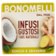 Bonomelli Infusi Gustosi 100% Naturali Cocco e Zenzero 10 filtri 20 g