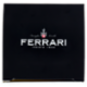 Ferrari Brut Metodo Classico Trento DOC 0,75 l